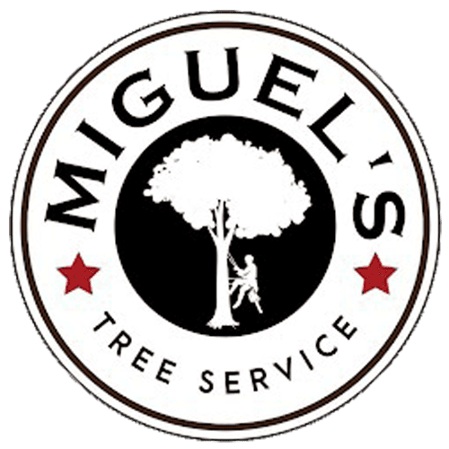 Miguel's Tree Service logo.
