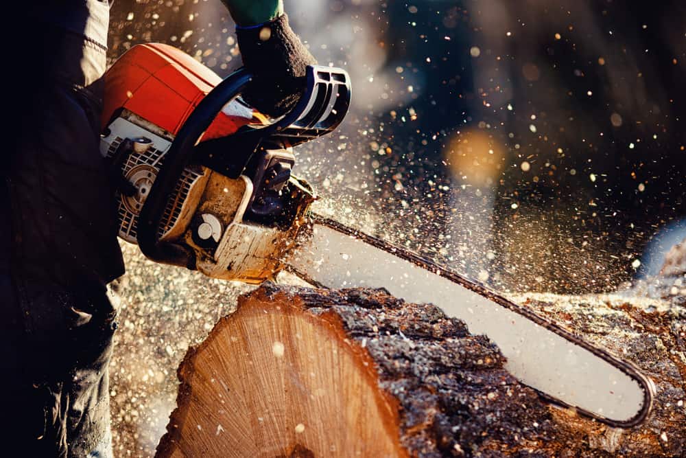 A person from a tree service uses a chainsaw to cut through a thick log, sending wood chips and sawdust flying. The red and black chainsaw works efficiently on the log's rough, textured bark in Suffolk County