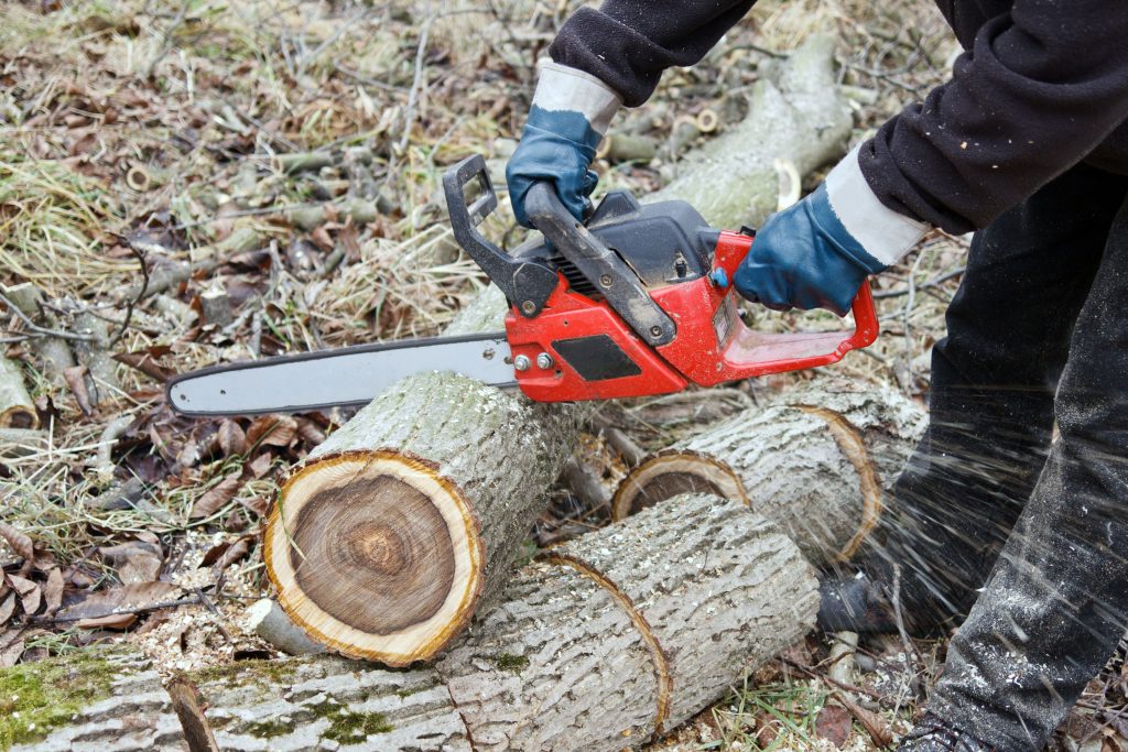 tree company near suffolk county