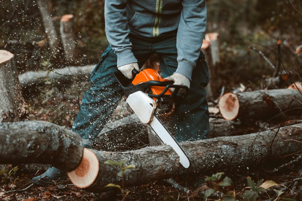 A person wearing gloves uses an orange and white chainsaw to cut through a large felled tree trunk in Suffolk County, NY, with sawdust flying and logs in the background.