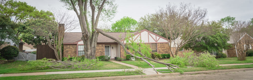 residential home with fallen tree in front yard.