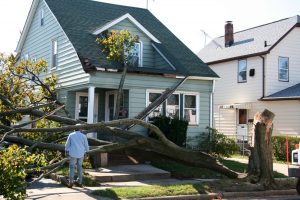A large tree has fallen onto a light green house in Suffolk County, NY, causing visible damage to the roof and porch, with a person standing nearby.