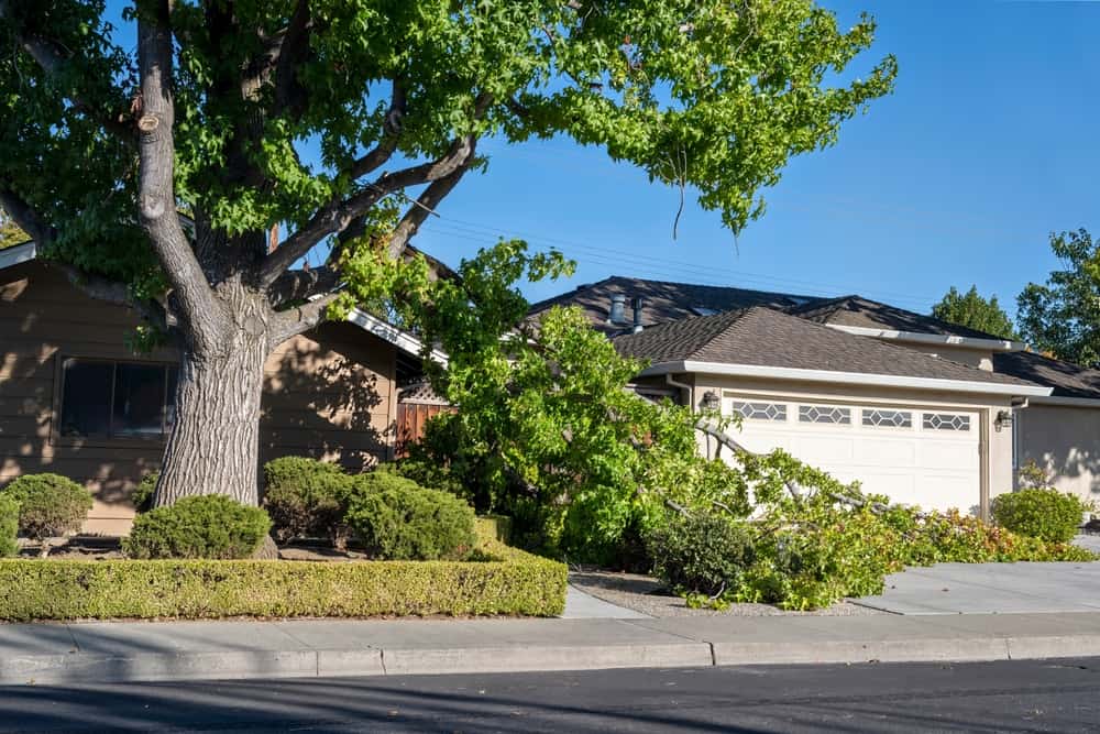 fallen tree branch on house requiring emergency tree removal.