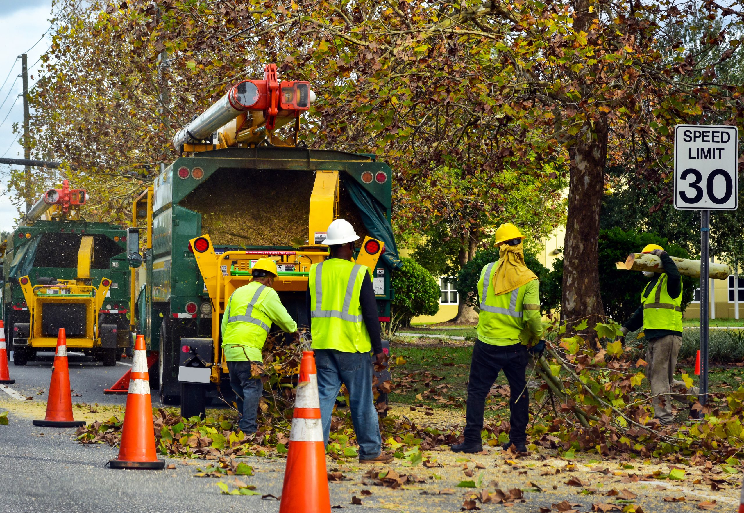 Workers in bright safety vests and helmets operate machinery alongside a road, feeding branches into a wood chipper as part of a comprehensive tree removal service. Traffic cones line the street, and a speed limit sign shows 30 mph. Trees with autumn leaves are visible in the background.