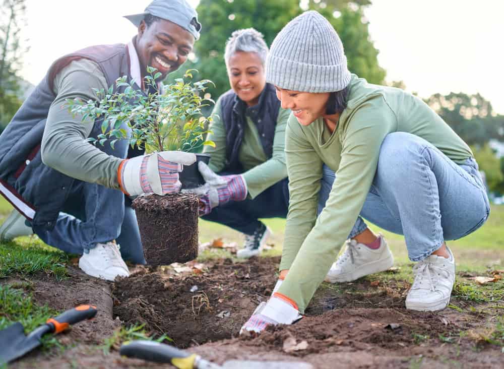 Group of people planting in Suffolk County, NY.