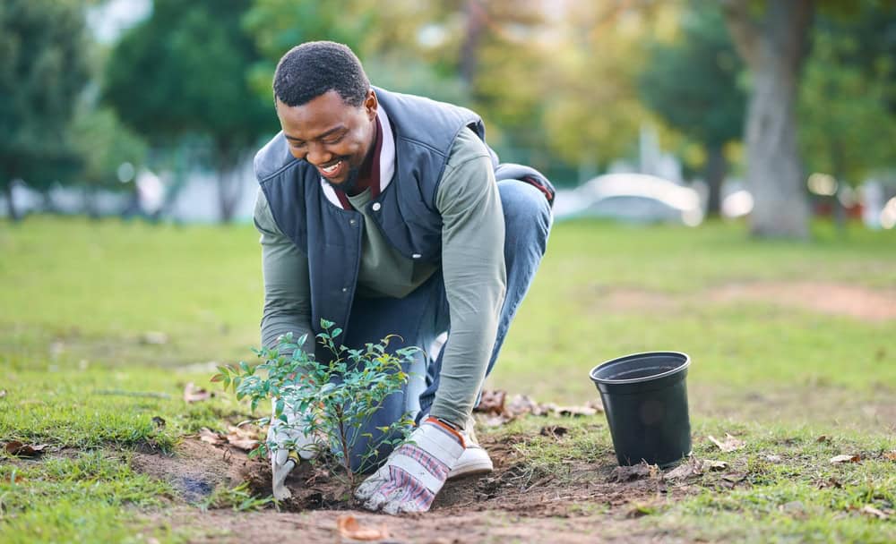 Planting a tree in Suffolk County, NY.