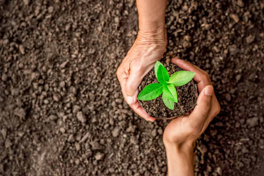 Planting a seed in Suffolk County, NY.