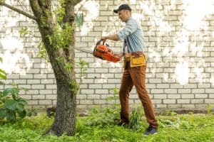 A man in a cap and denim shirt is using a chainsaw to cut a tree in a garden in Suffolk County, NY. He is wearing a tool belt and is standing in front of a brick wall, surrounded by green grass and other plants.