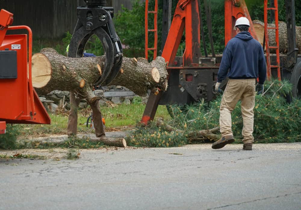 A worker wearing a helmet and gloves stands near a large cut tree trunk being lifted by a mechanical claw. The scene is outdoors with orange equipment and greenery in the background, suggesting tree removal or landscaping work.